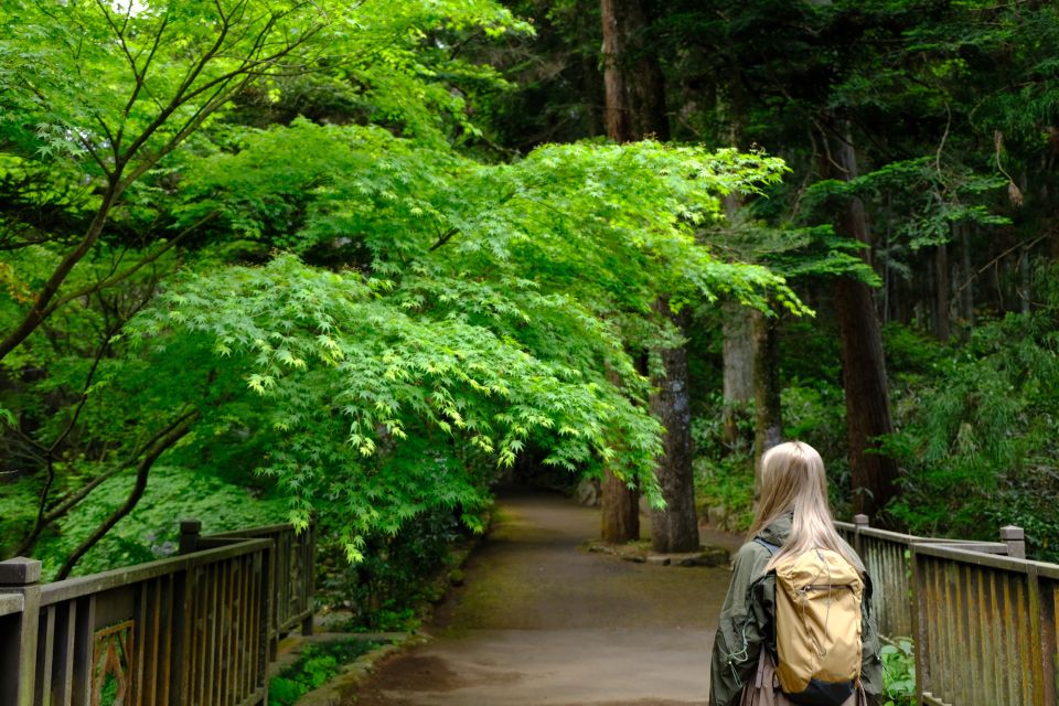 Fm Odawara: Forest Bathing and Onsen With Healing Power - Additional Details