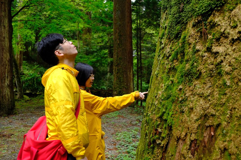 Fm Odawara: Forest Bathing and Onsen With Healing Power - Final Words