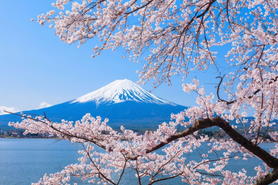 Mt. Fuji, Panoramic Ropeway & Seasonal Fruits Picking - Travel Tips and Considerations