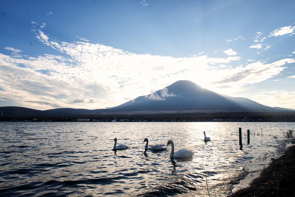 Private Full Day Sightseeing Tour to Mount Fuji and Hakone - Location Details