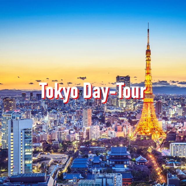 Tokyo: 10-Hour Customizable Private Tour With Hotel Transfer - Just The Basics