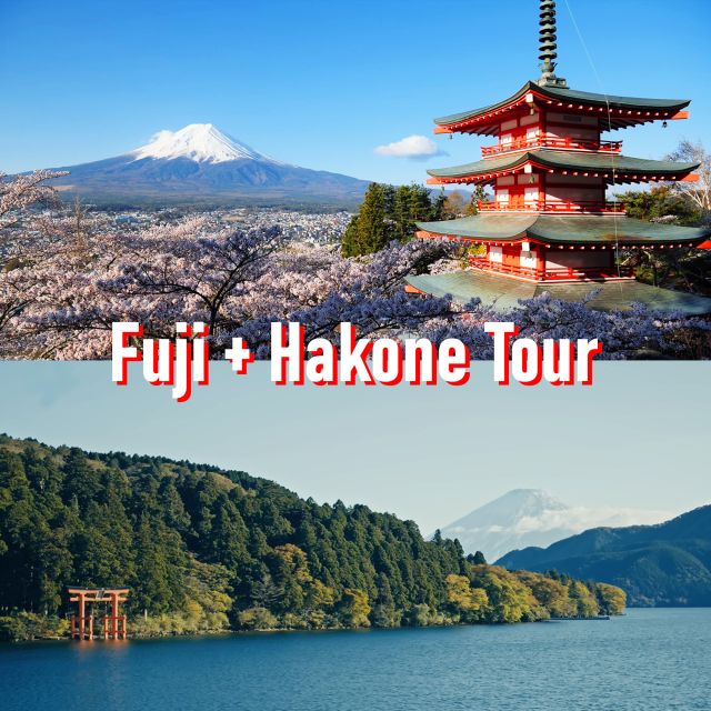 Tokyo to Mount Fuji and Hakone Private Full-day Tour - Just The Basics
