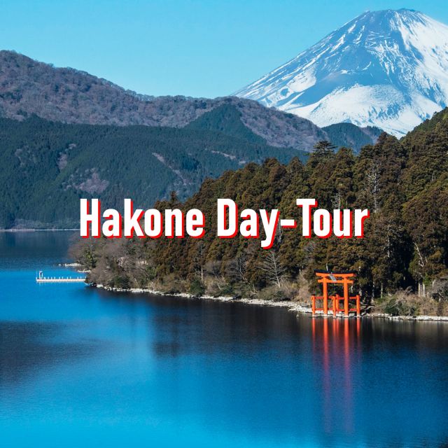 From Tokyo: 10-hour Hakone Private Custom Tour - Tour Experience Highlights