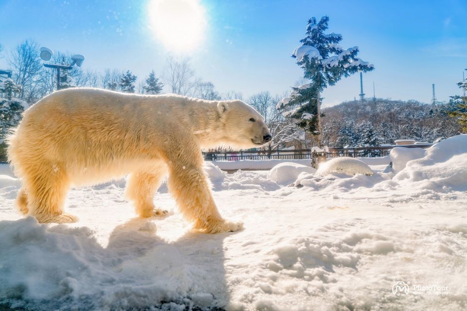 Hokkaido: Asahiyama Zoo, Furano, and Ningle Terrace Tour - Start Point and Directions