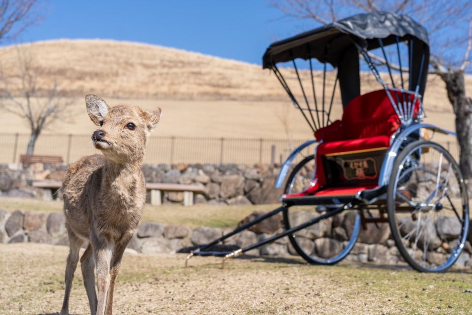 Nara: Cultural Heritage Tour by Rickshaw - Just The Basics
