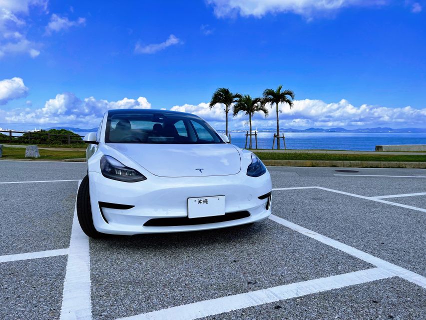Okinawa Car Rental With Tesla - Participant and Date Selection