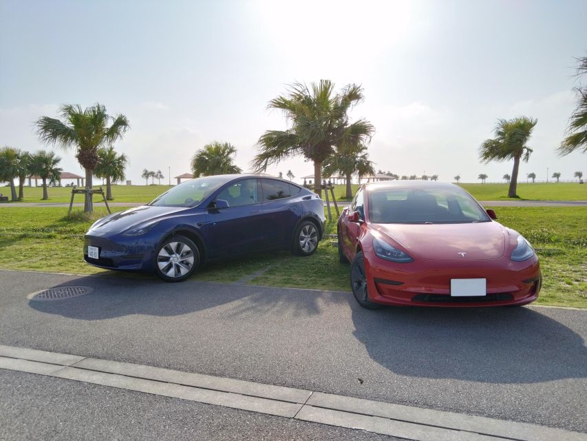 Okinawa Car Rental With Tesla - Just The Basics