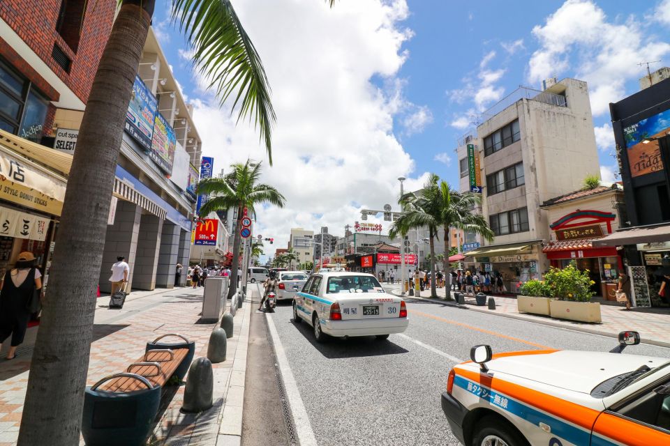 Okinawa Car Rental With Tesla - Experience Highlights