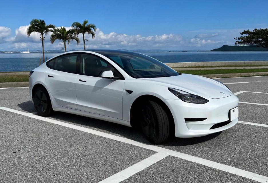 Okinawa Car Rental With Tesla - Free Cancellation Policy