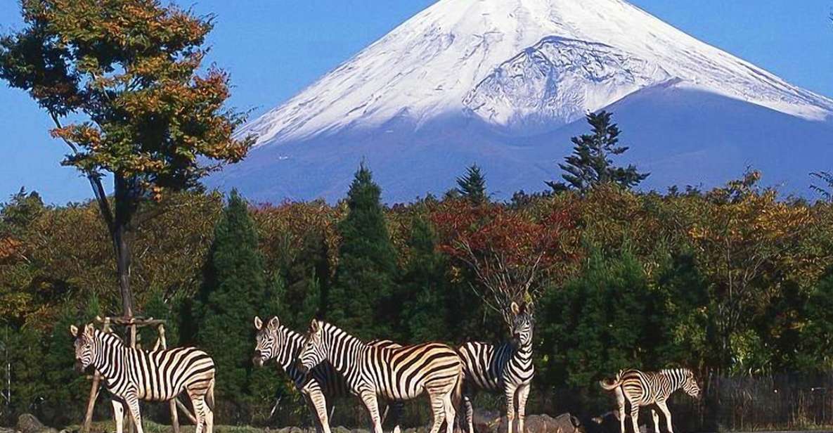 Mt Fuji : Highlight Tour and Unforgettable Experience - Experience Highlights