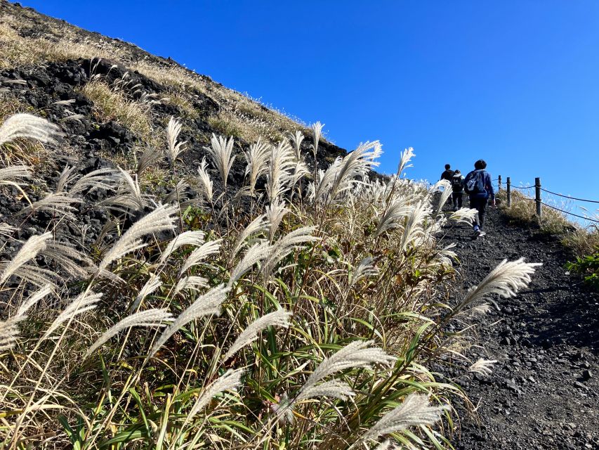 Feel the Volcano by Trekking at Mt.Mihara - Just The Basics