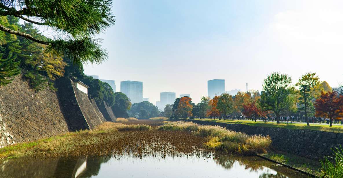 Tokyo: Chiyoda Imperial Palace Walking Tour - Just The Basics