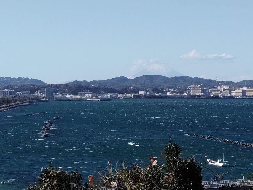 Discover Priceless Yokosuka in Special One-Day Walking Tour - Highlights