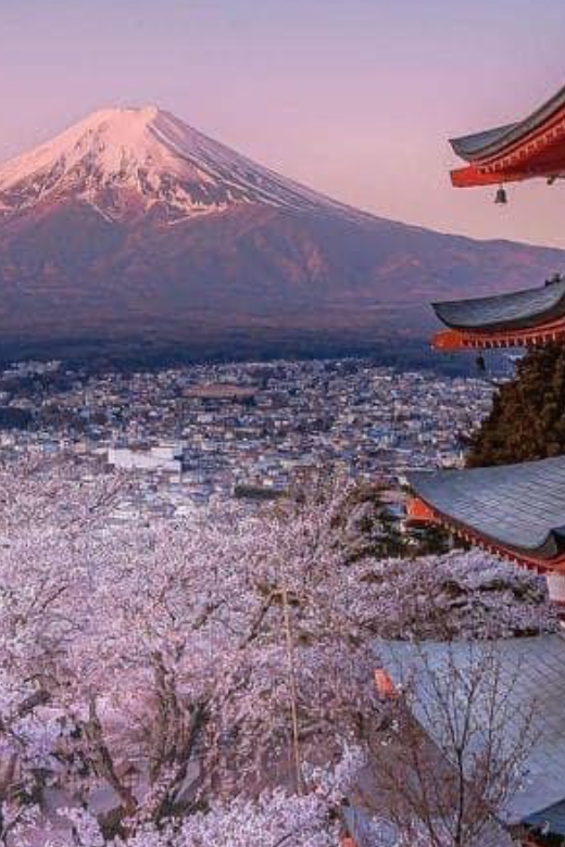 From Tokyo: Mount Fuji Full Day Private Customize Tour - Just The Basics