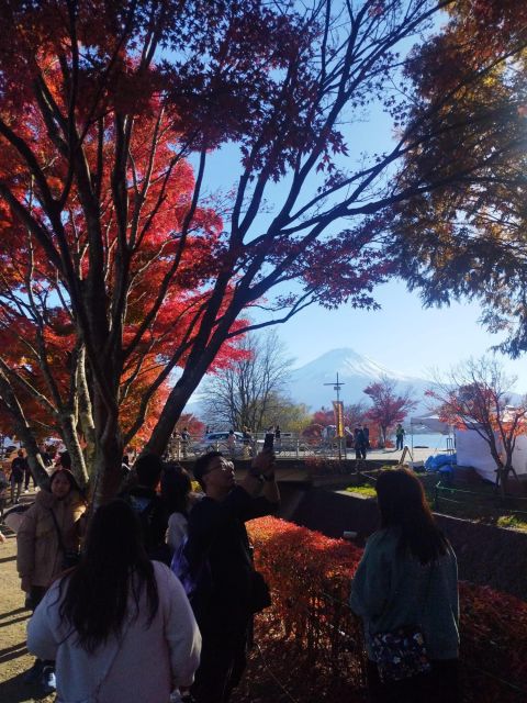 Mount Fuji - Hakone & Onsen Full Day Private Tour - Tour Highlights