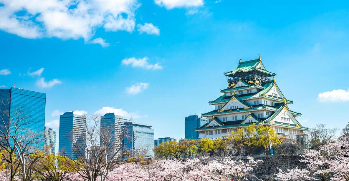 Osaka: 1-Day Private Customizable Trip by Car - Just The Basics