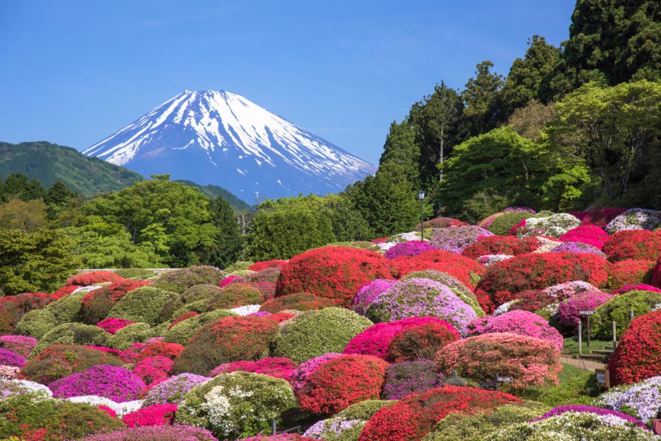 Mt.Fuji and Hakone Tour - Frequently Asked Questions