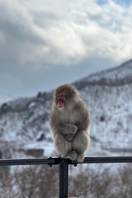 A Memorabele Snow Monkey Park and Zenkoji Temple Tour - Just The Basics
