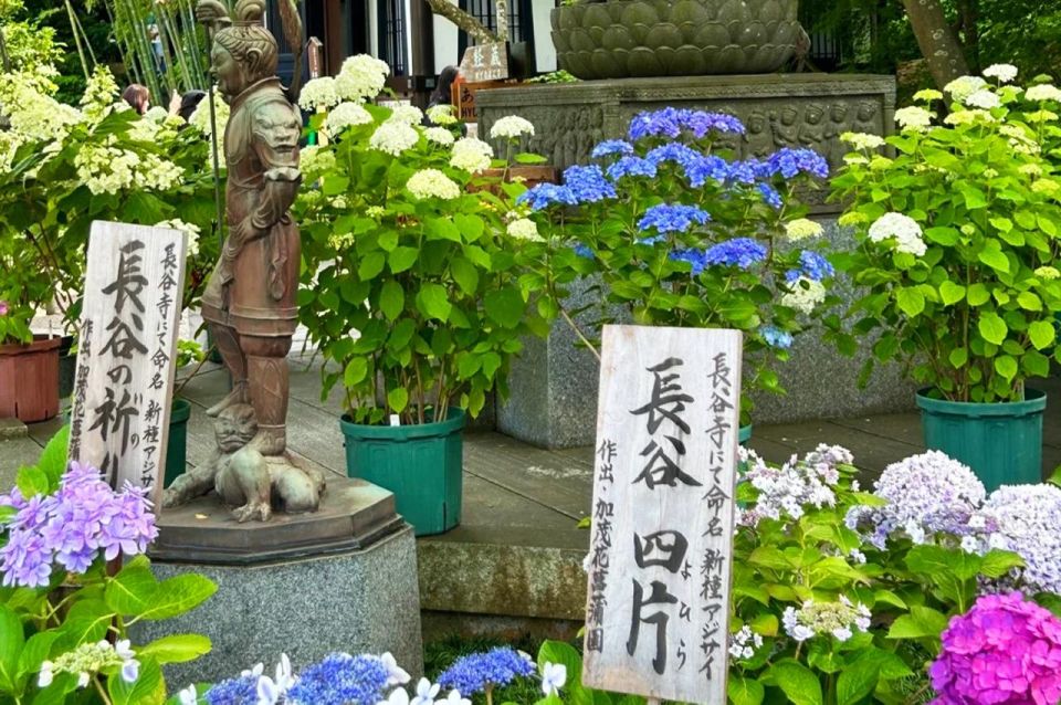 From Tokyo: Kamakura, Hasedera Temple and Enoshima Day Trip - Reviews Summary