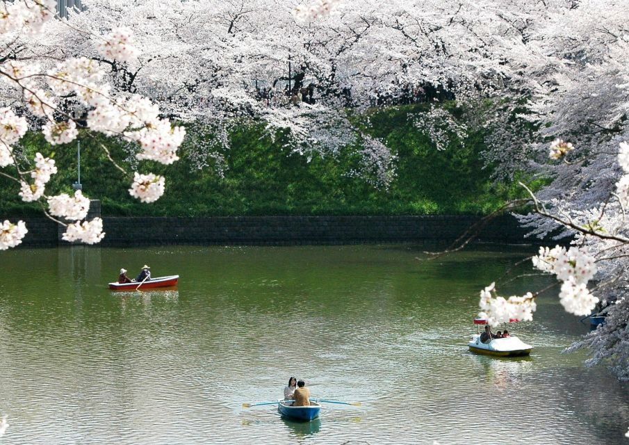 Sakura in Tokyo: Cherry Blossom Experience - Tour Highlights