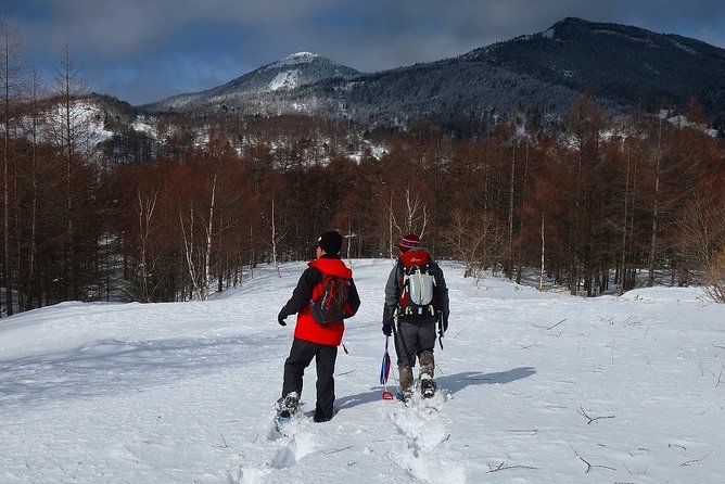 Snow Mountain Hiking to Enjoy With Family! Ice Cream Making Snowshoe - Just The Basics