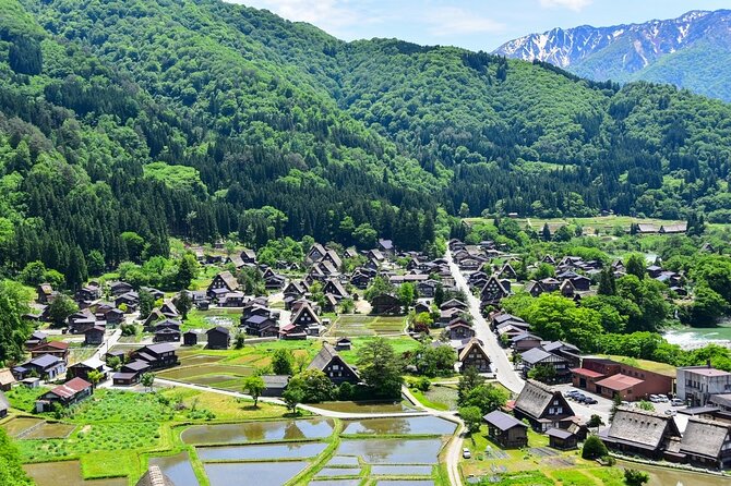 [Regular Sightseeing Bus] World Heritage Shirakawa-go and Gokayama Ainokura - Just The Basics