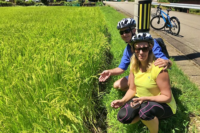 Half Day Rural E-Bike Tour in Hida - Weather Considerations and Recommendations