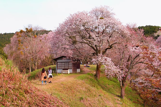 Nara Day Trip From Kyoto With a Local: Private & Personalized - How to Prepare for Your Trip