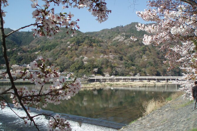 Private Walking Tour in Bamboo Forest & Hidden Spots in Arashiyama - Pricing Details