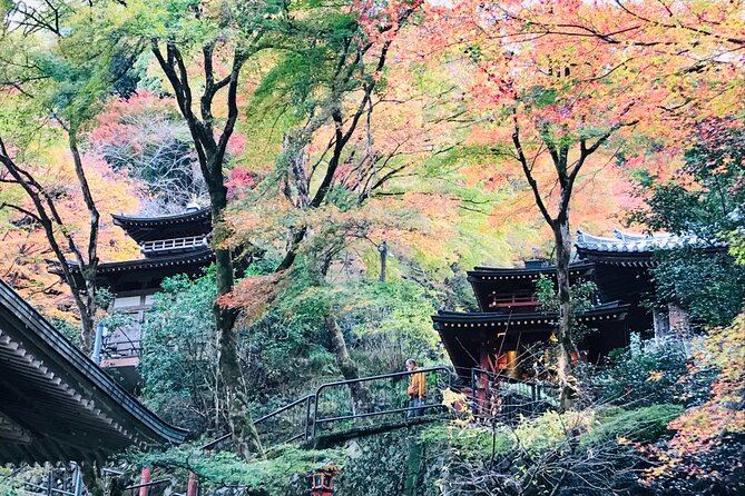 Private Walking Tour in Bamboo Forest & Hidden Spots in Arashiyama - Customer Reviews