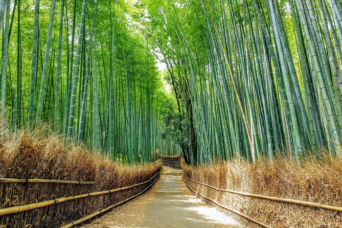 Private Arashiyama Walking Tour: Bamboo, Monkeys & Secrets - Monkey Park Experience