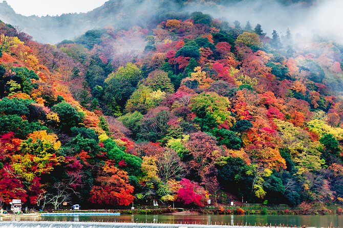 Private Arashiyama Walking Tour: Bamboo, Monkeys & Secrets - Insider Secrets Revealed