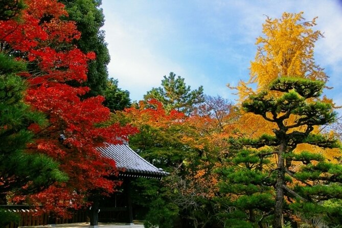 Full Day Hidden Kyotogenic for Autumn Tour in Kyoto - Meeting Point