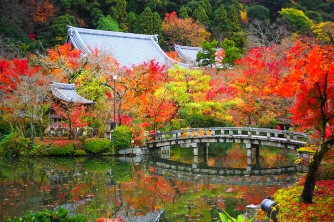 Full Day Hidden Kyotogenic for Autumn Tour in Kyoto - Punctuality Requirements