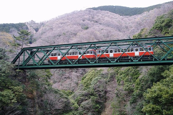 Exciting Hakone - One Day Tour From Tokyo - Additional Information