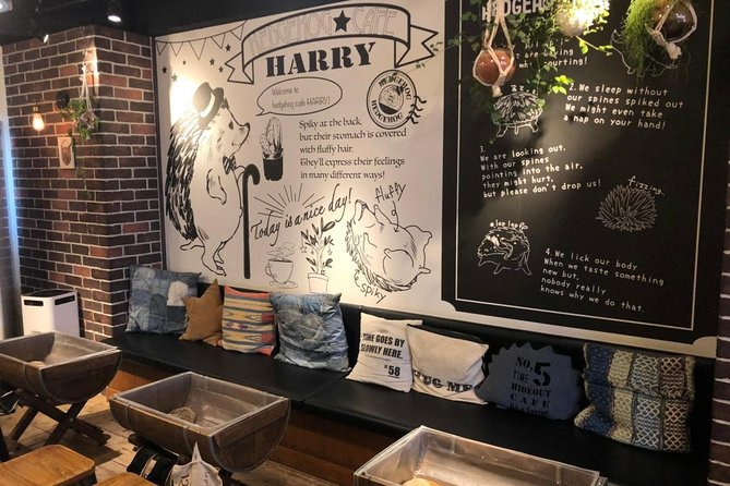 Admission to Hedgehog Cafe in Harajuku - Operator Information