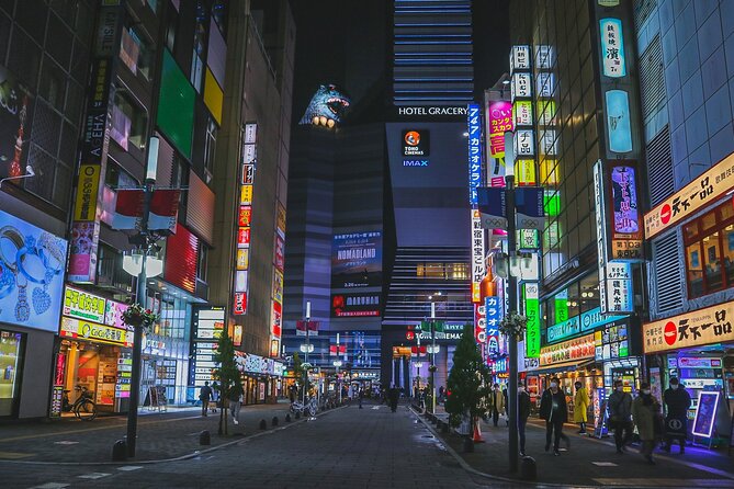 Tokyo Night Walking Tour Shinjuku Kabukicho LGBTQ District - Just The Basics