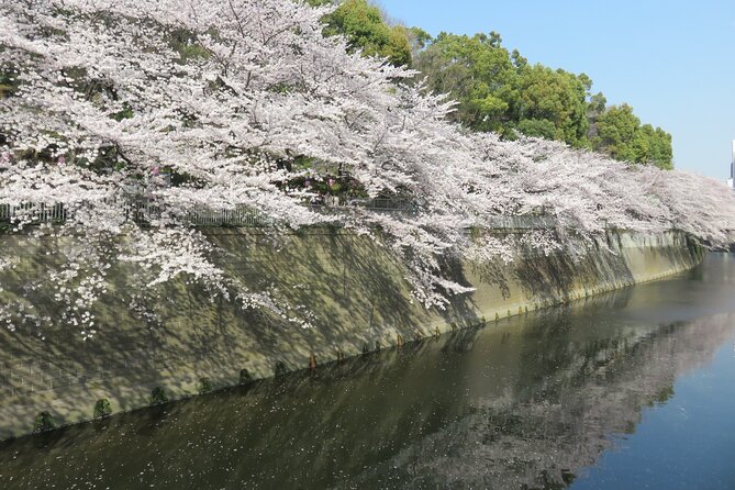 Walking Tour of Hidden Neighborhoods in Tokyo - Experience Local Culture Off the Beaten Path