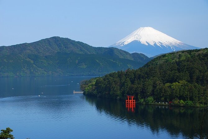 Mt. Fuji & Hakone 1 Day Bus Tour From Tokyo Station Area - Inclusions and Meal Options