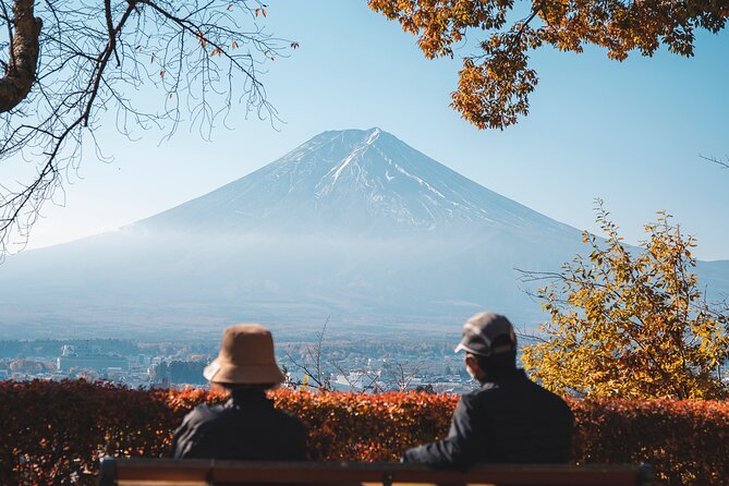 Private Mt Fuji, Hakone and Tokyo Tour-English Speaking Chauffeur - Tour Duration and Flexibility