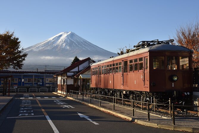 Private Mt Fuji, Hakone and Tokyo Tour-English Speaking Chauffeur - Transparent Cancellation Policy