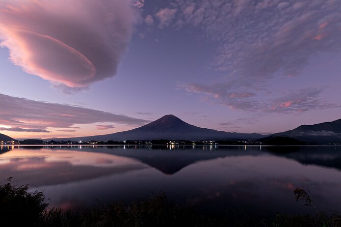 Private Mt Fuji, Hakone and Tokyo Tour-English Speaking Chauffeur - Private Group Experience