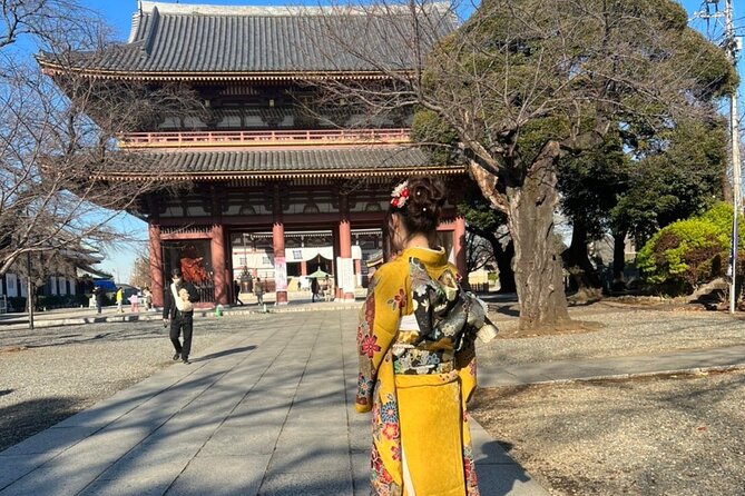 Historic Temple・Traditional Japanese Garden＆ Eating Around at a Shopping Strip - Strolling Through the Traditional Japanese Garden