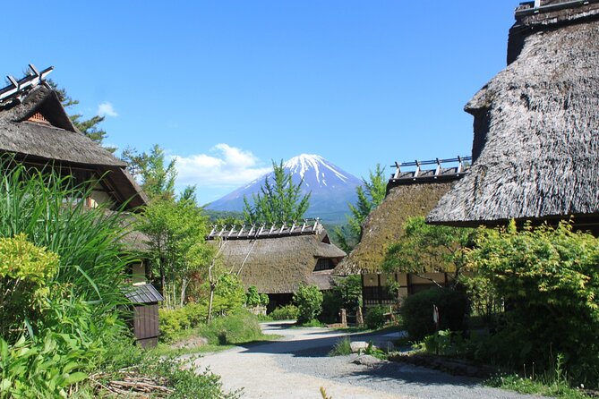 Fuji Spiritual Private Tour With Lunch and Dinner - Itinerary Details