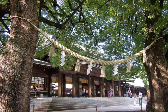 Meiji Jingu Shrine, Shibuya Crossing by a Local Guide Tip-Based - Local Guides Insider Tips