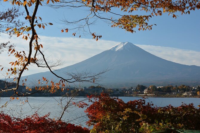 Private Tour in Mt Fuji and Hakone With English Speaking Driver - Booking Information