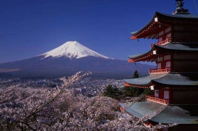 Mt Fuji Private Tour With English Speaking Driver - Traveler Reviews and Ratings