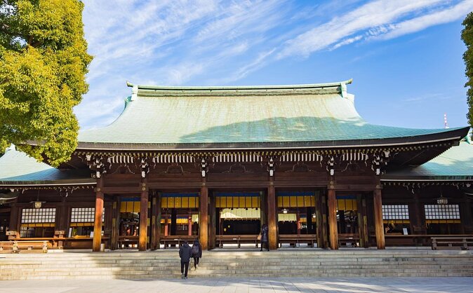 Full-Day Guided Private Tour in Tokyo, Japan - Just The Basics