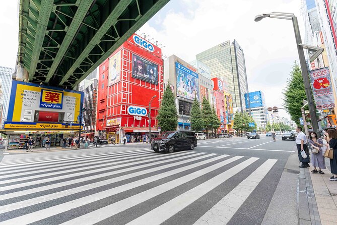 Exclusive Experience: Tailored Anime & Culture Tour in Akihabara - Booking Information