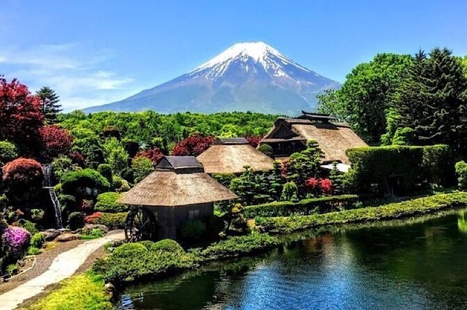 Private Mount Fuji and Hakone Sightseeing Day Trip With Guide - Pricing and Inclusions